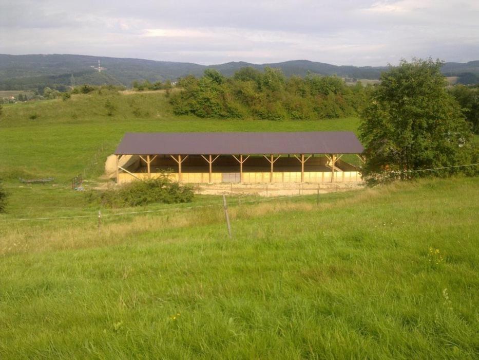 Hotel Stawy Zielona Dolina Kudowa-Zdrój Exterior foto